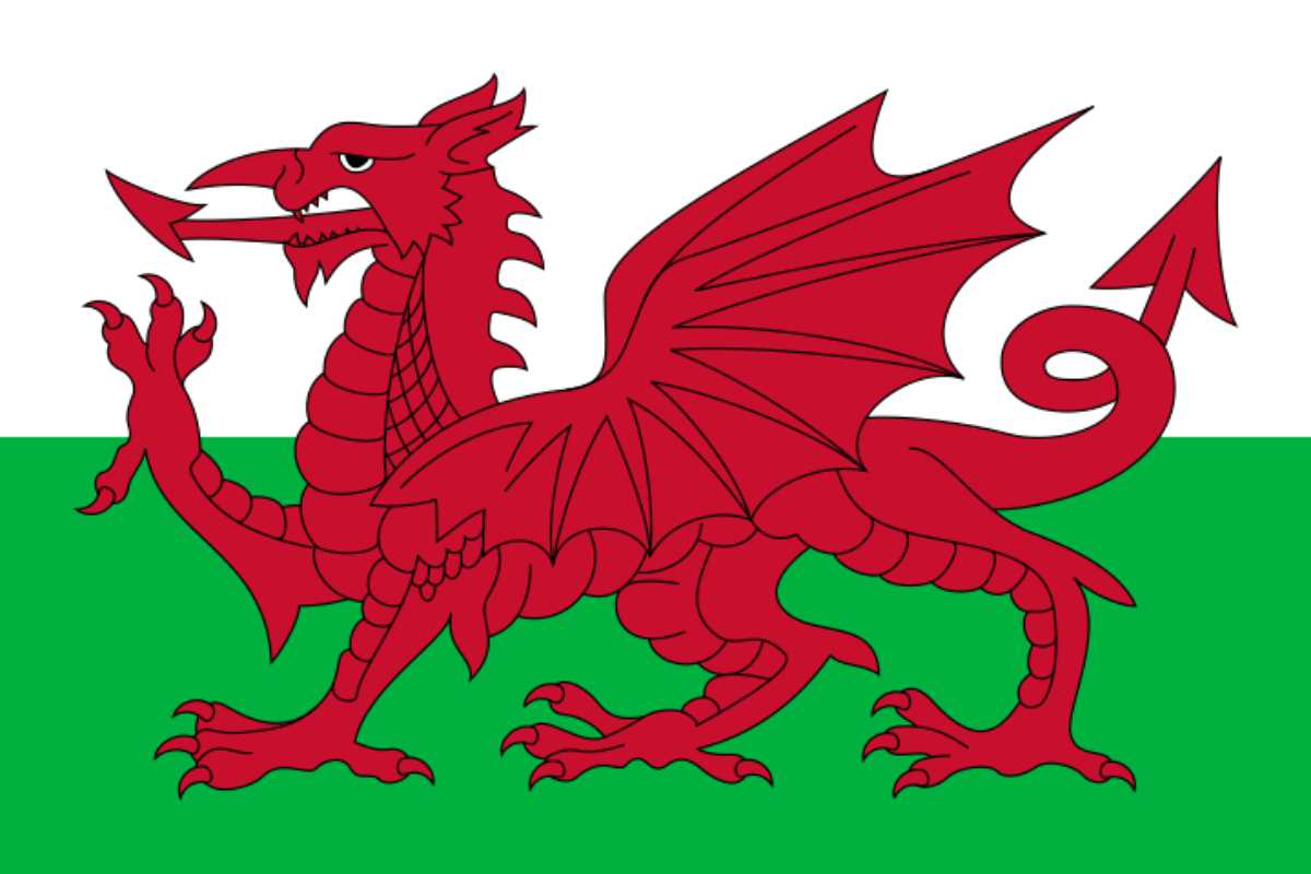 National Animal Of Wales
